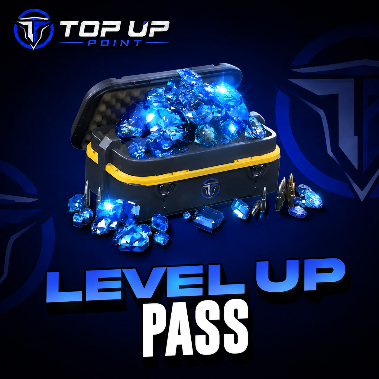 LEVEL UP PASS 
